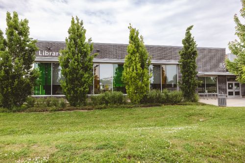 Rectangular, glass and steel building with coloured windows, with large green ceders in front and an the word Library above the windows 