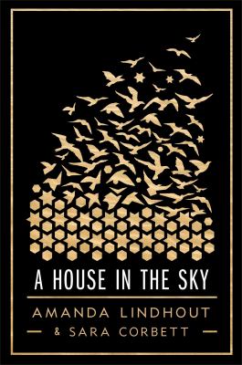 A house in the sky by Amanda Lindhout