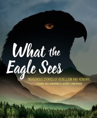 What the eagle sees by Eldon Yellowhorn, (1956-)