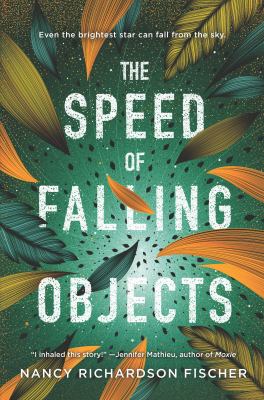The speed of falling objects by Nancy Richardson Fischer