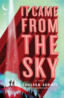 It came from the sky by Chelsea Sedoti