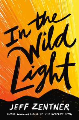 In the wild light by Jeff Zentner