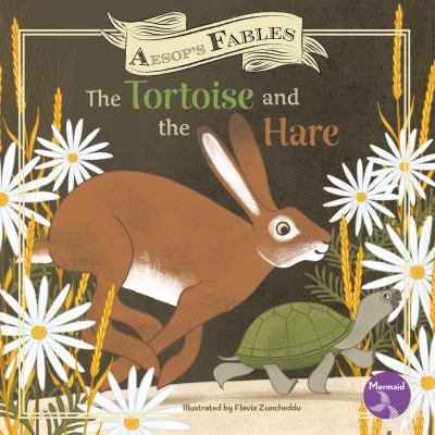 The tortoise and the hare by Shannon Anderson, (1972-)