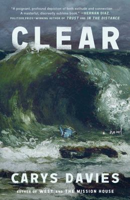 Clear by Carys Davies,