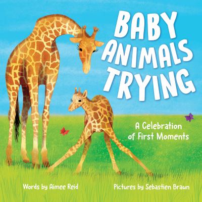 Baby animals trying by Aimee Reid,
