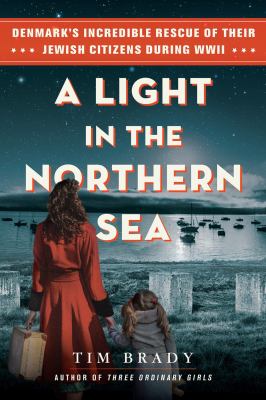 A light in the northern sea by Tim Brady, (1955-)