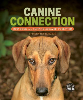 Canine connection by Christopher Gudgeon, (1959-)