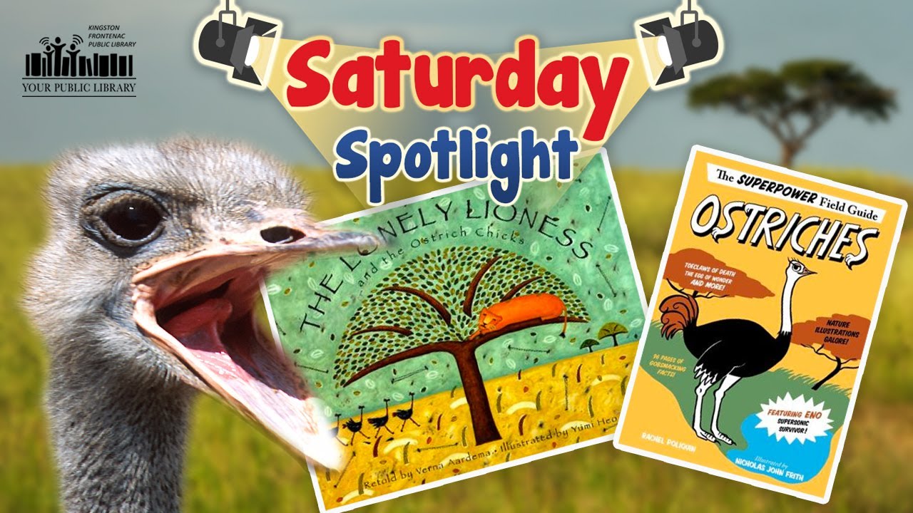 An ostrich with ostrich books and text reading Saturday Spotlight.