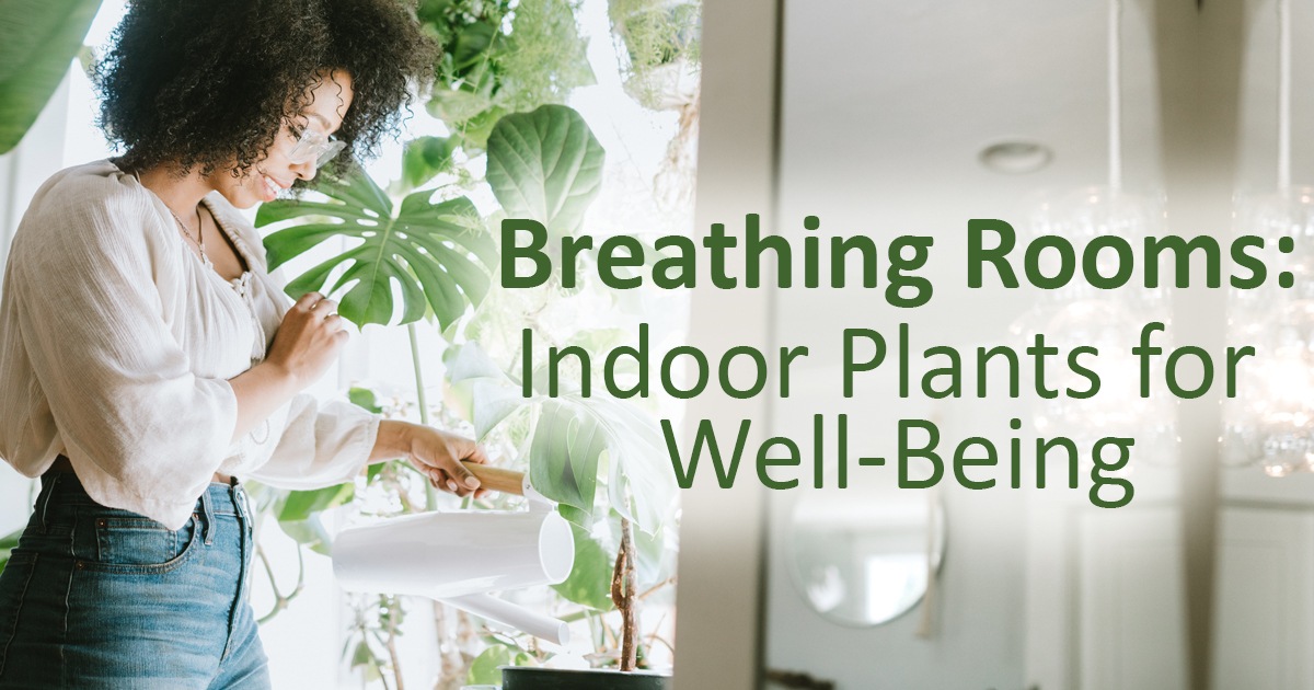 Breathing Rooms Indoor Plants for Well Being