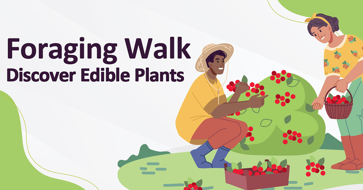 Illustration of two adults picking berries. The text reads Foraging Walk Discover Edible Plants.