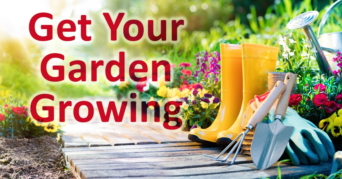 Get your garden growing. Imager of rubber boots and plants with garden tools