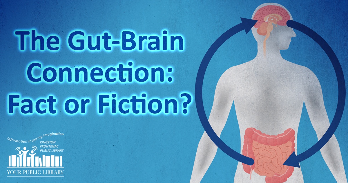 The gut brain connection fact or fiction