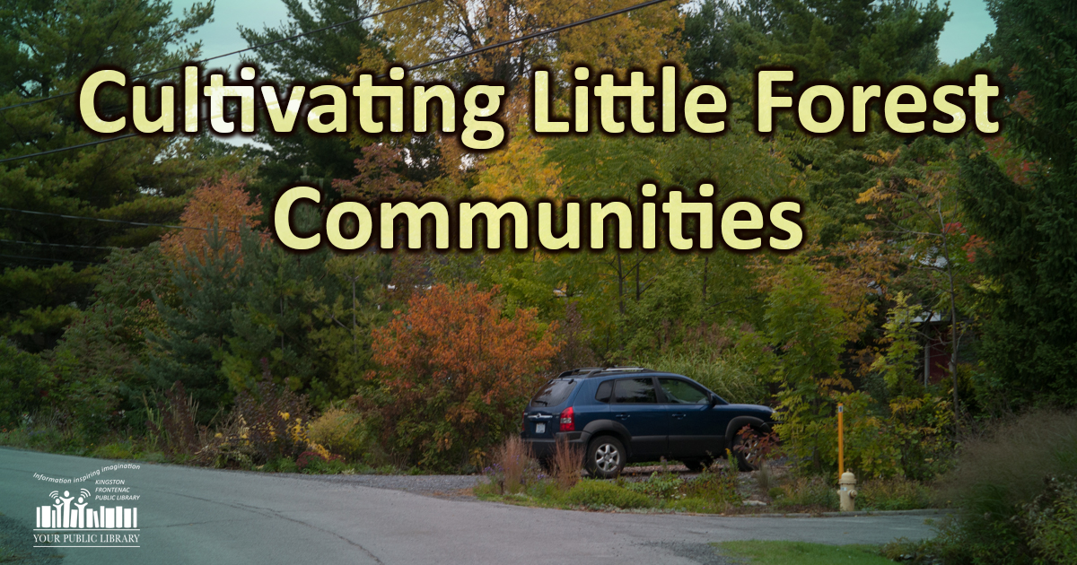 webpost image for Cultivating Little Forest Communities