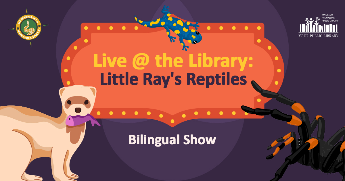 Colorful promotional banner for Little Ray's Reptiles live bilingual show at the library featuring a blue spotted salamander, a ferret holding a purple fish, and a large black and orange spider illustration.