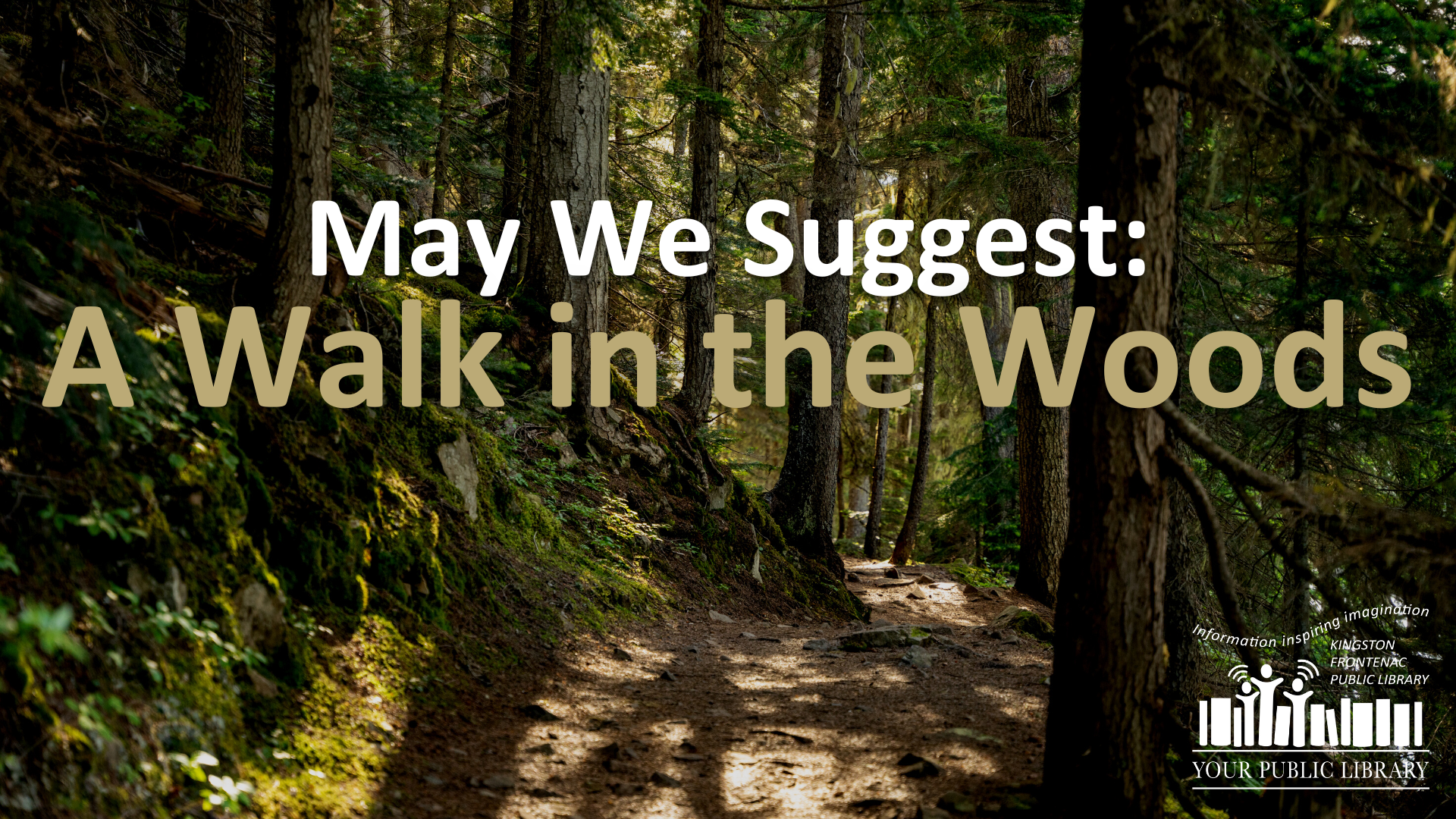 A lush forest with a path running through trees. Text reads May We Suggest: A Walk in the Woods