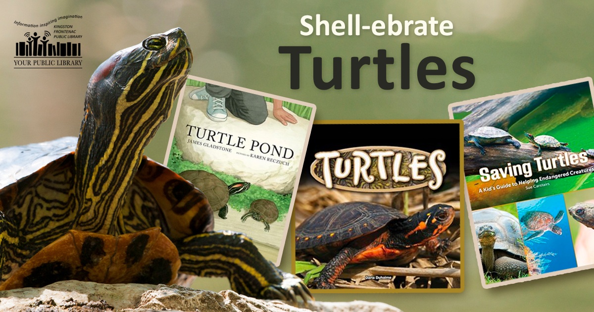 A turtle with a book and text reading Shell-ebrate turtles.