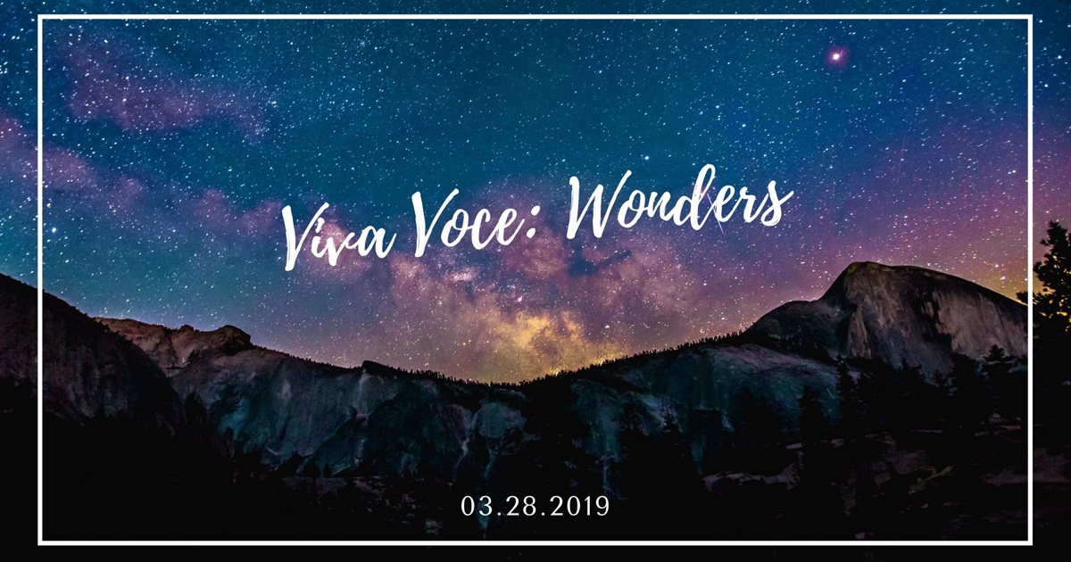 Viva Voce: Wonders 30.28.2019