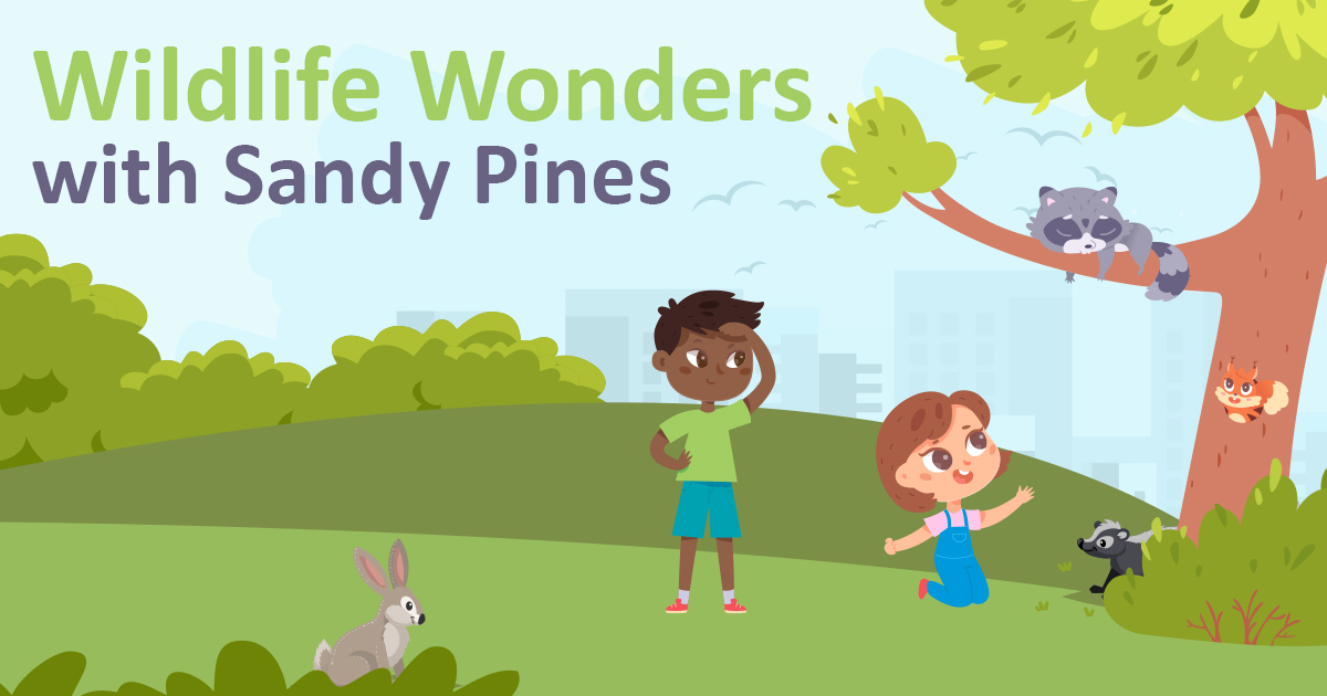 Illustration of two children exploring a park with a rabbit, a raccoon is sleeping on a tree branch, squirrel is on the trunk. The text reads Wildlife Wonders with Sandy Pines.